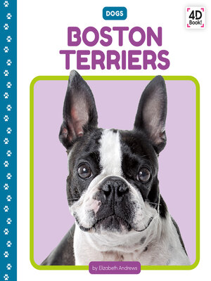 cover image of Boston Terriers